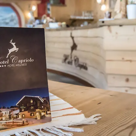 Capriolo Hotel